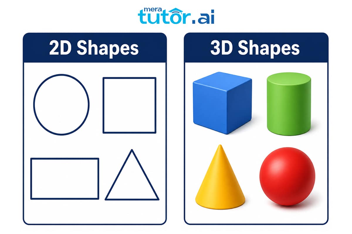 Shapes Around Us Class 4 Worksheet: Concepts & 7-Day Practice Plan 2 2D and 3D shapes chart for class 4 students